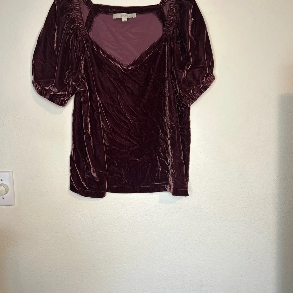 LOFT Large Petite Velvet Puff Sleeve Top